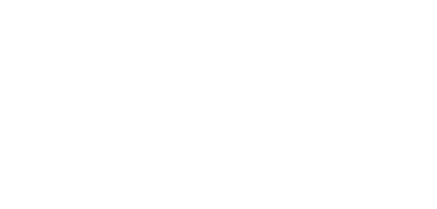pt-cropped-logo